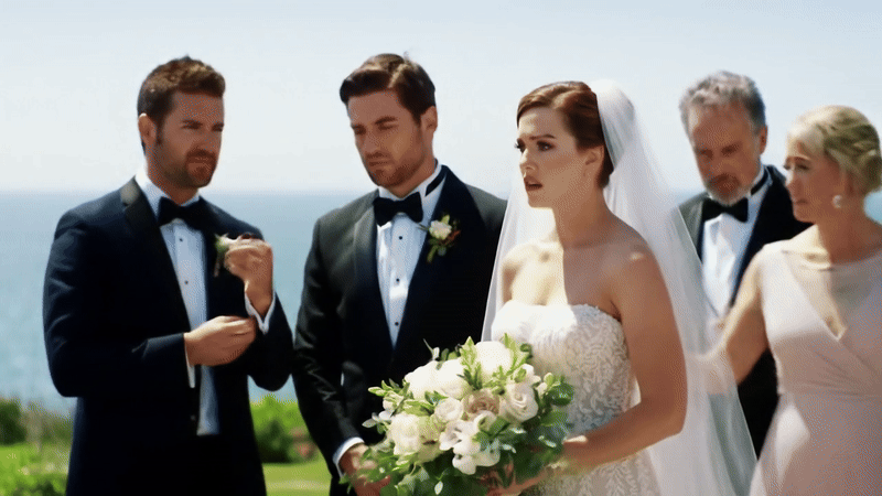 The Wedding Party and Hidden Motives